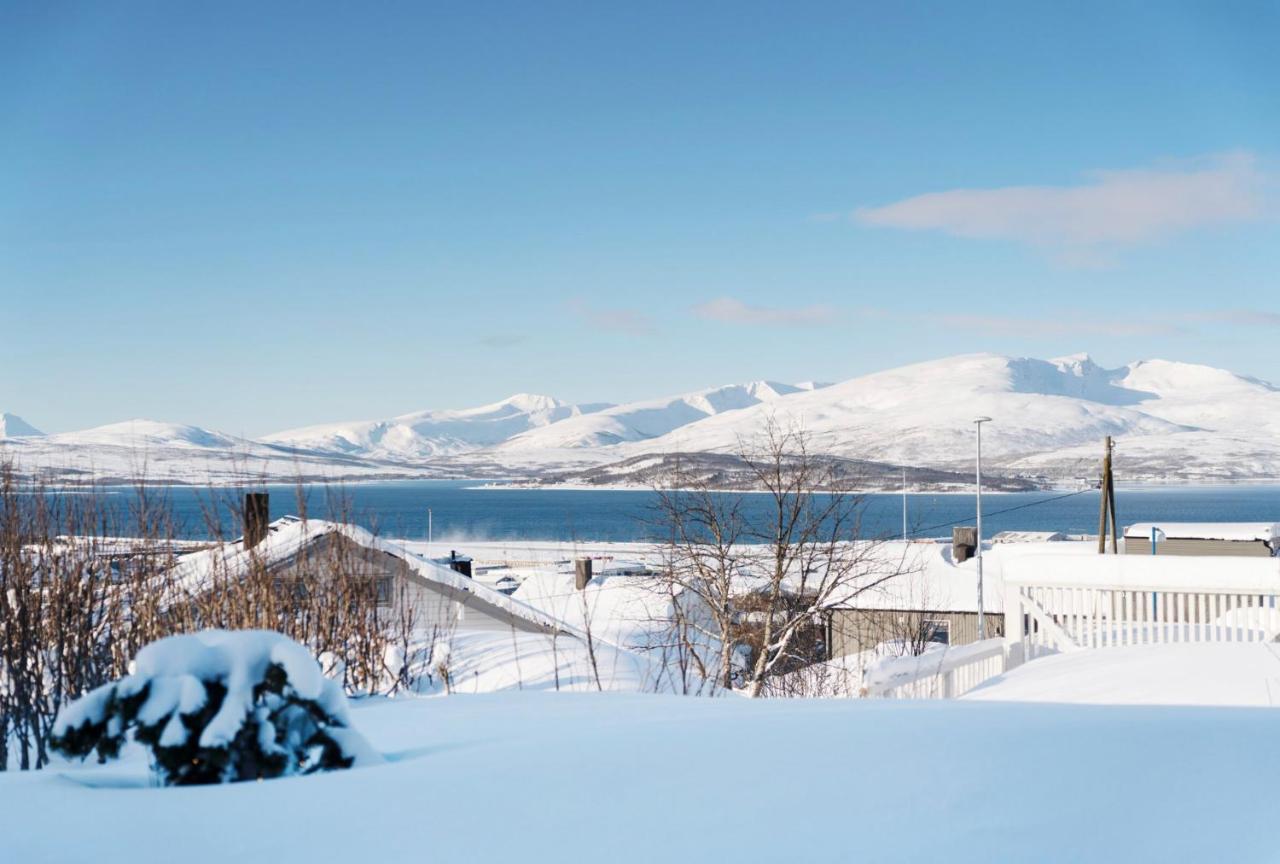 Apartmán Aurora And Midnight Sun Tromsø Exteriér fotografie